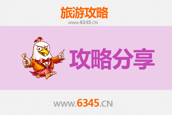 泉州泉港旅游攻略：跟团与自由行全方位对比